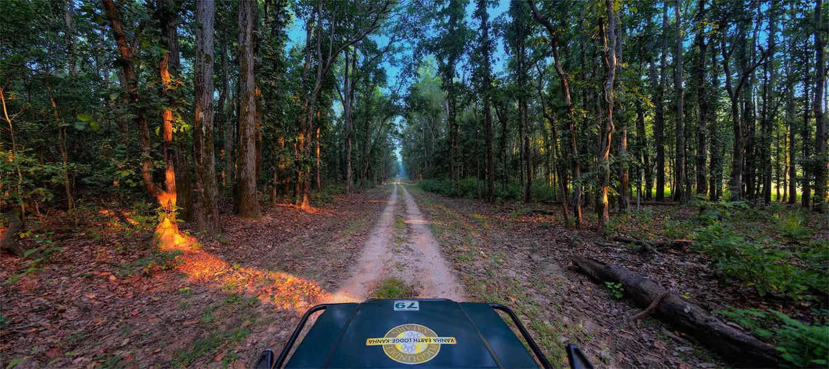 KANHA