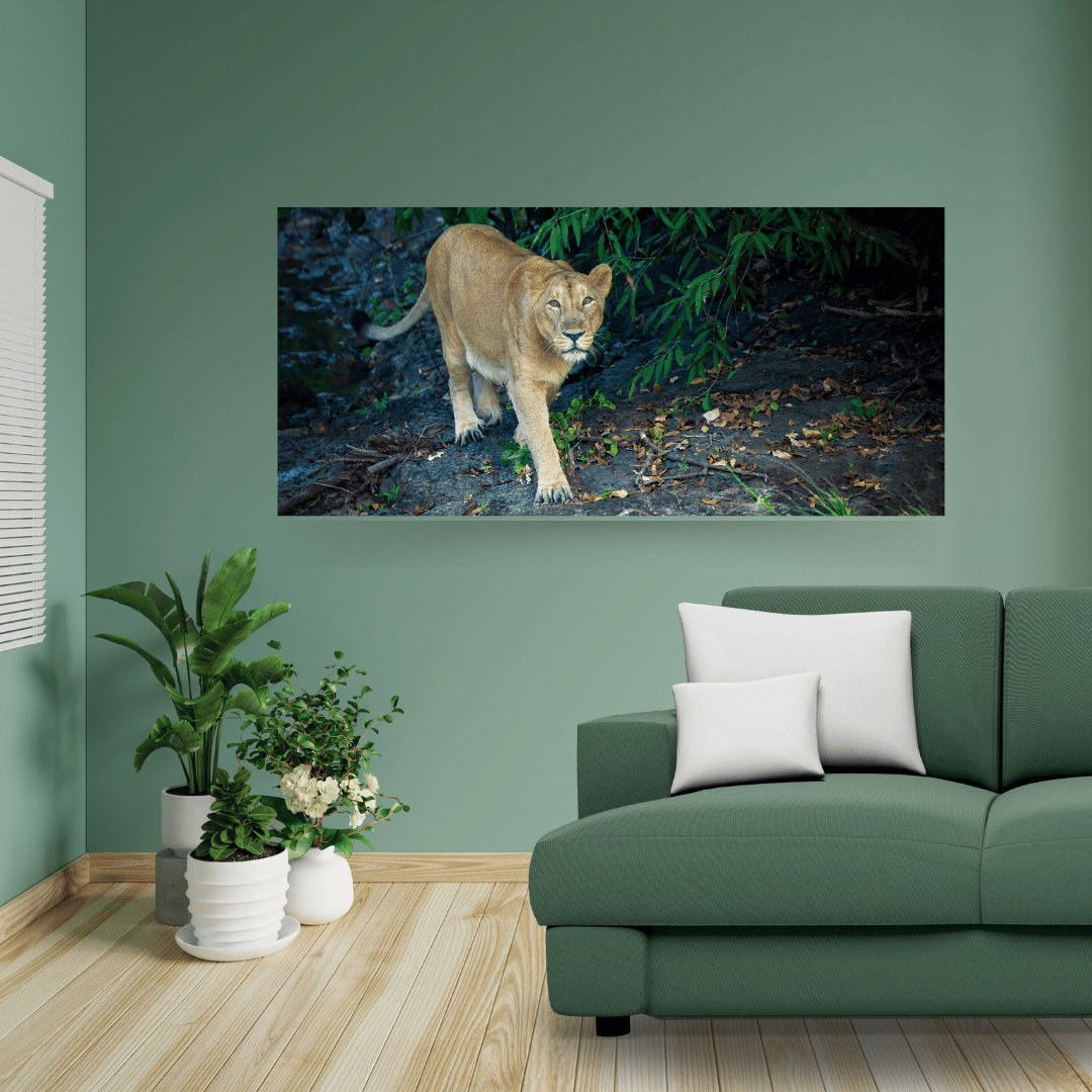 The Watchful Mother – Asiatic Lioness, Wooden Photo Art | Limited Edition Wildlife Print