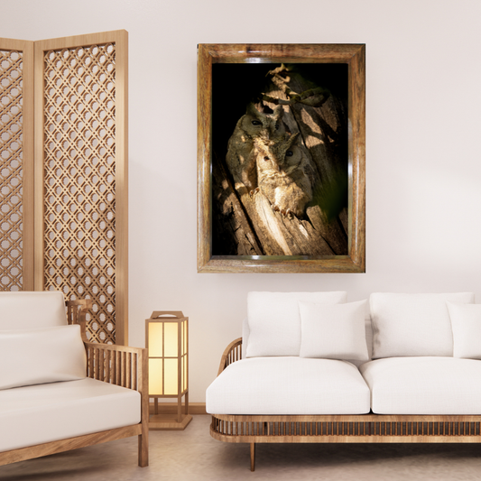 पानी में रॉयल बंगाल टाइगर – प्रीमियम वन्यजीव ललित कला प्रिंट