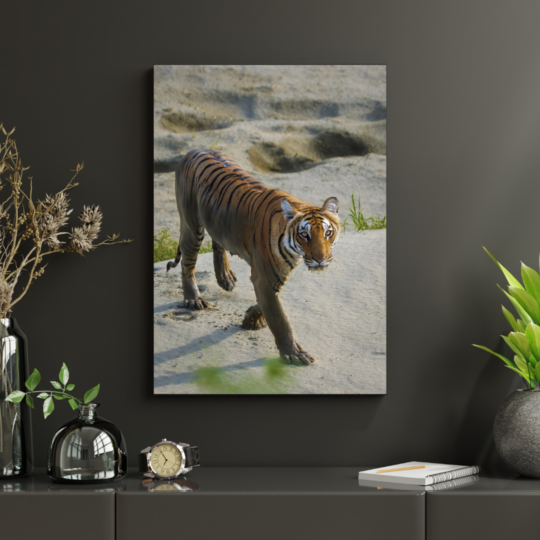 Œuvre d'art de collection en bois naturel représentant un tigre - Scène de jungle avec un tigre émergeant de l'eau