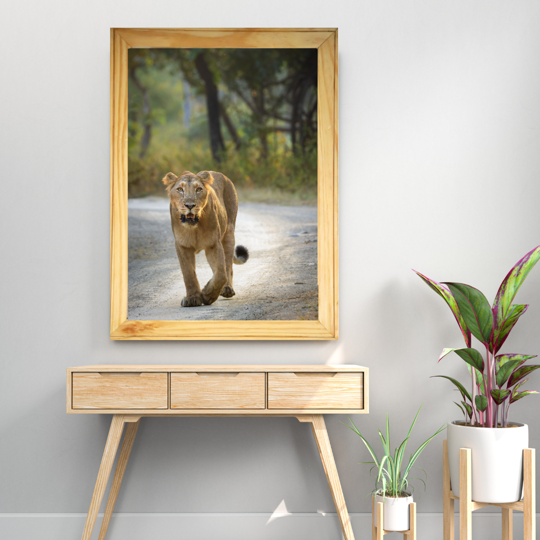 पानी में रॉयल बंगाल टाइगर – प्रीमियम वन्यजीव ललित कला प्रिंट