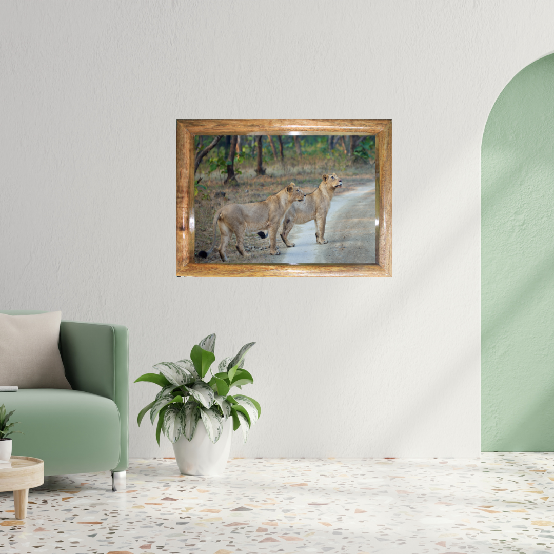 Le Monarque de Corbett - Éléphant en bois avec photographie artistique