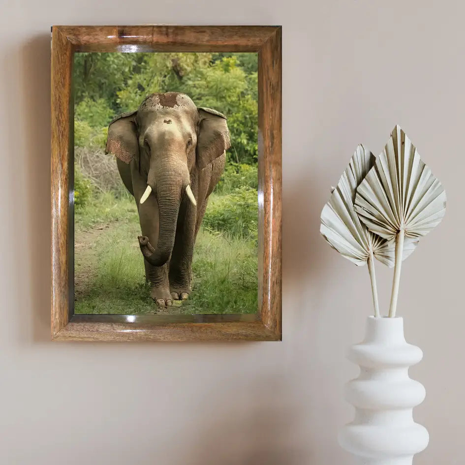 Majesté de la jungle – Face à face avec un éléphant dans la jungle (cadre photo d'art)