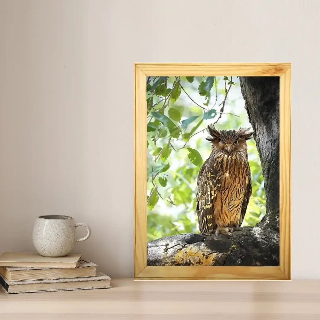Winking Owl - Kanha National park Framed Owl Bird Photograph - wooden framed Owl bird- Kanha national park Photo, bird picture.