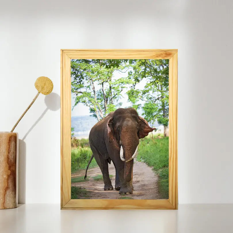Reproduction d'art d'un éléphant majestueux retournant à la rivière - Cadre photo - Décoration murale - Retour à l'accueil