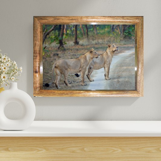 नदी से मिला सबक – जीवन रक्षा का सफर