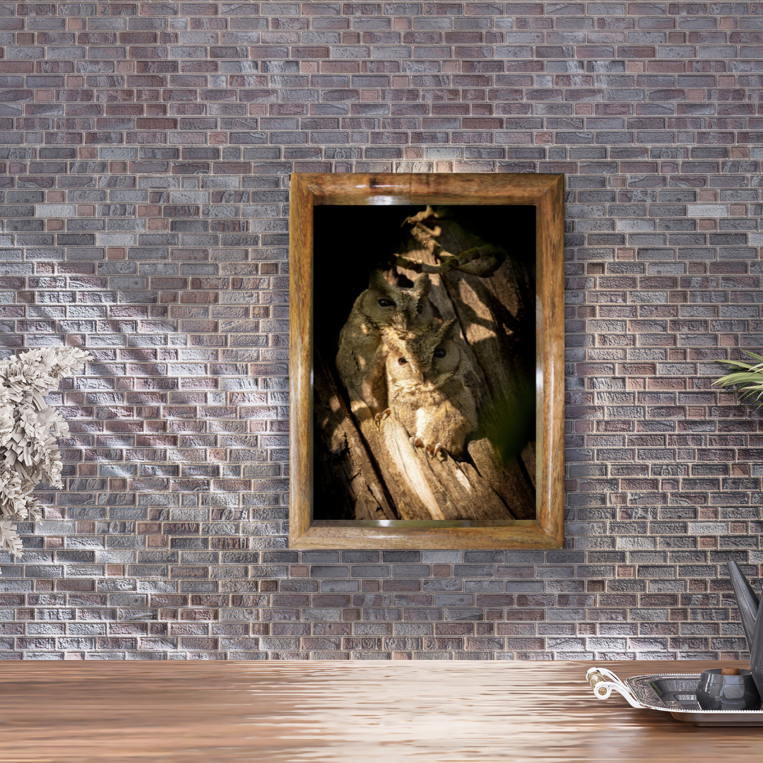 Le regard du fantôme