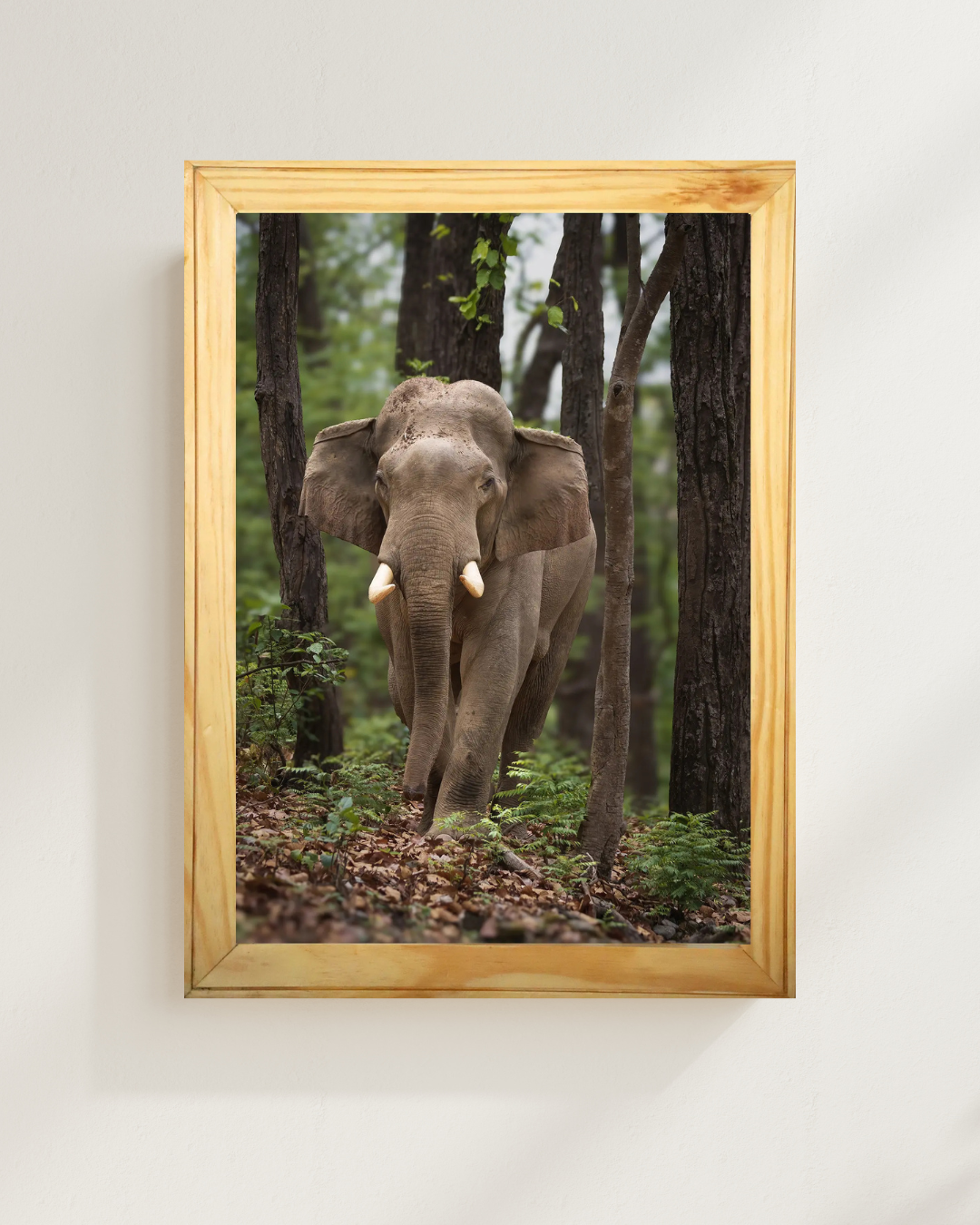 Silent Colonnade — Asian Elephant Fine Art Photography | Limited Edition Archival Print, India