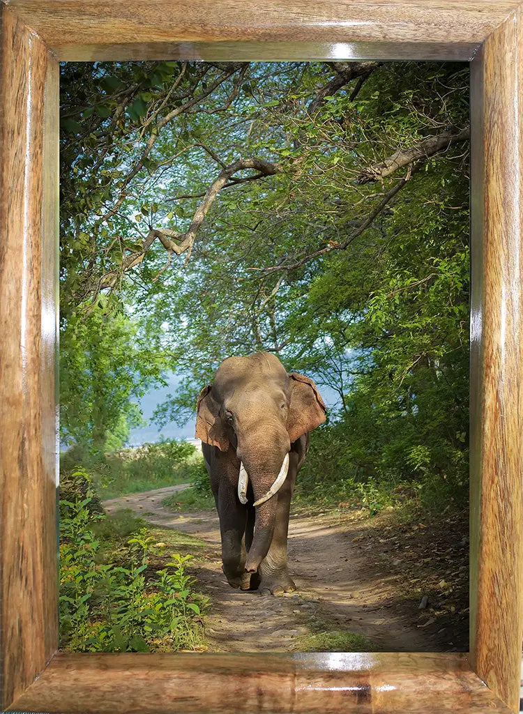 Elephant in Jungle Canopy Landscape Photo Frame – Fine Art Decor