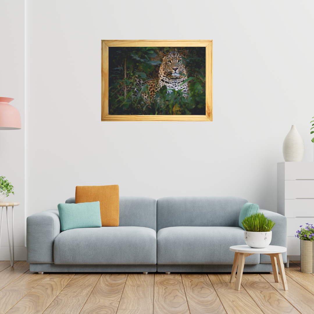 Mowgli : Le Fantôme au soleil