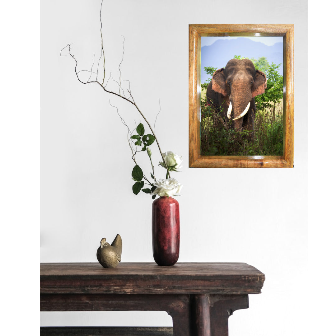 Cadre photo « Éléphant rebelle de la jungle » – Décoration artistique Wildgraphy