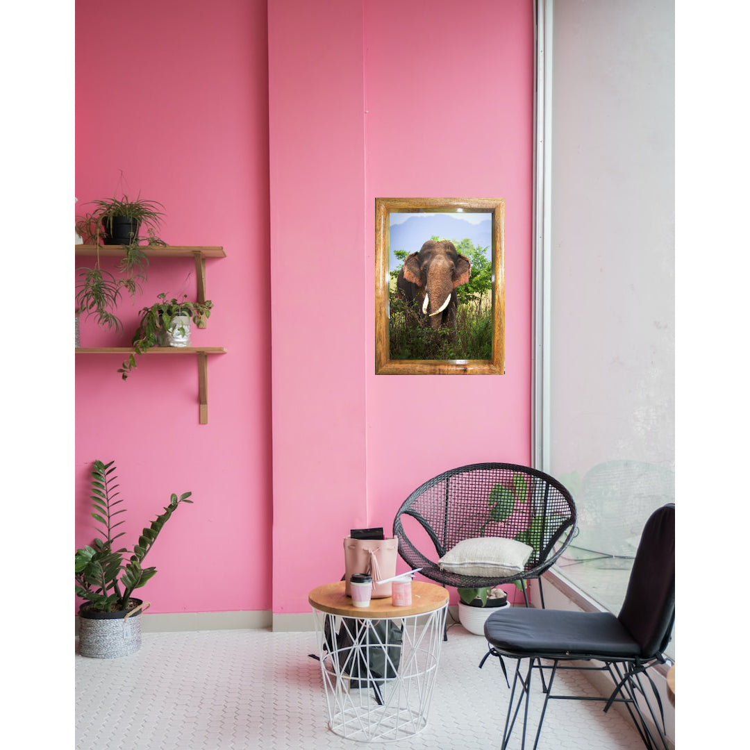 Cadre photo « Éléphant rebelle de la jungle » – Décoration artistique Wildgraphy