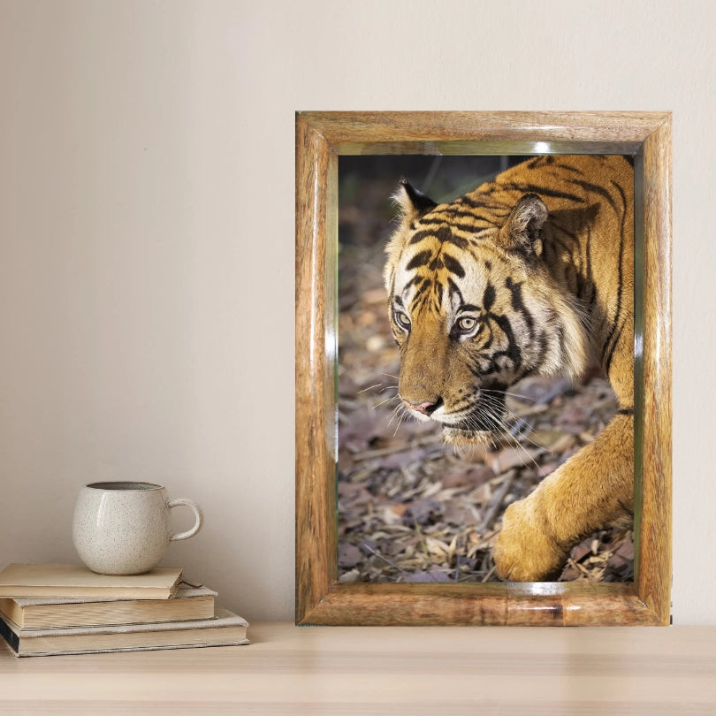 The Rival's Glare — Tiger Cubs, Fine Art Photography | Limited Edition