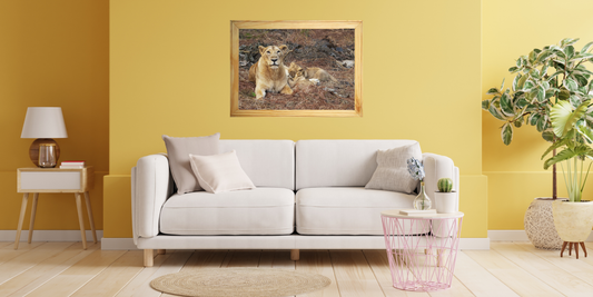 Where the King Still Roams: My Soul-Stirring Safari at Gir National Park