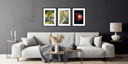 Shooting Wildlife with Camera