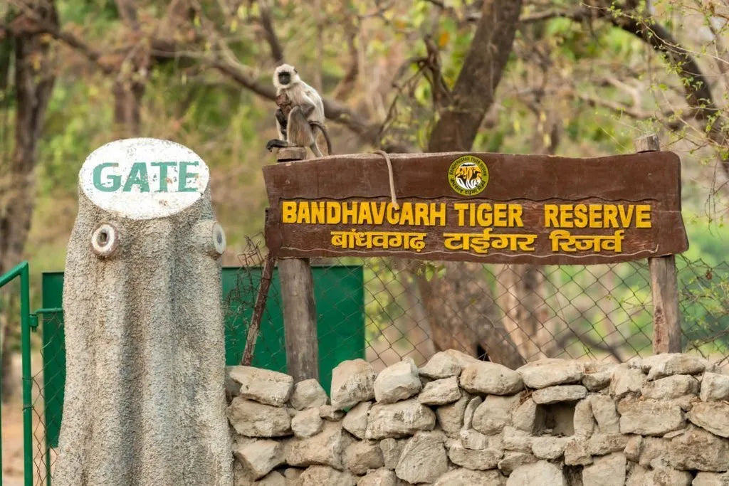 BANDHAVGARH