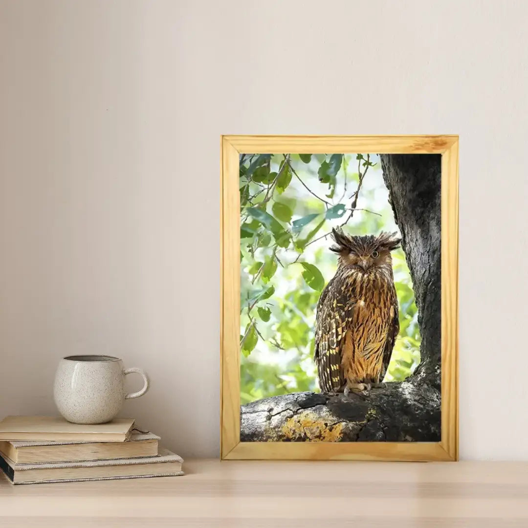 Winking Owl - Kanha National park Framed Owl Bird Photograph - wooden framed Owl bird- Kanha national park Photo, bird picture.