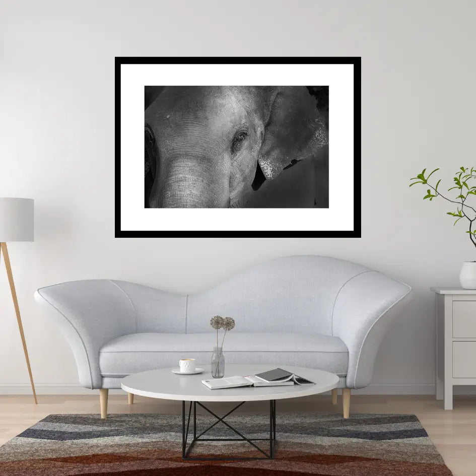 Grace in the Shadows – Elephant Portrait Fine Art Print | Luxury Wildlife Photography Wall Art