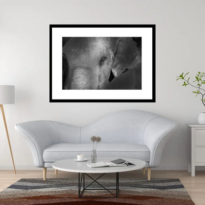 Grace in the Shadows – Elephant Portrait Fine Art Print | Luxury Wildlife Photography Wall Art