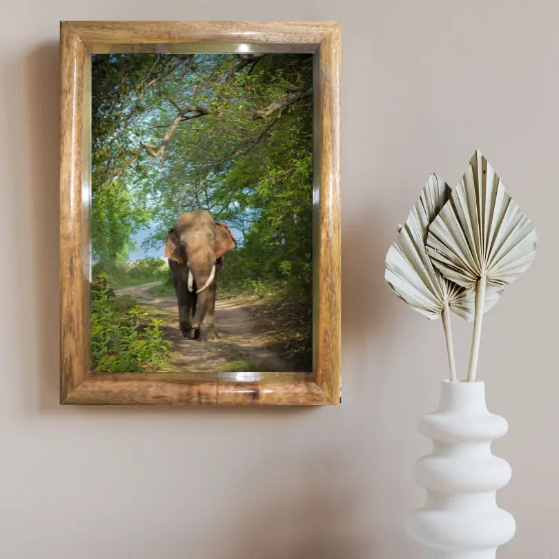 Cadre photo paysage éléphant dans la canopée de la jungle – Décoration d'art