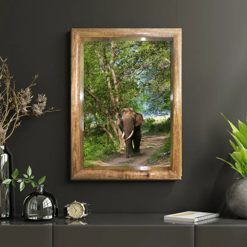 Cadre photo représentant un éléphant marchant dans la canopée de la jungle – Décoration d'art