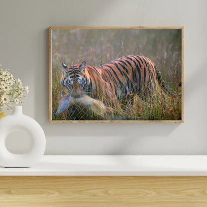 Photo Fine Art of Tiger with Kill