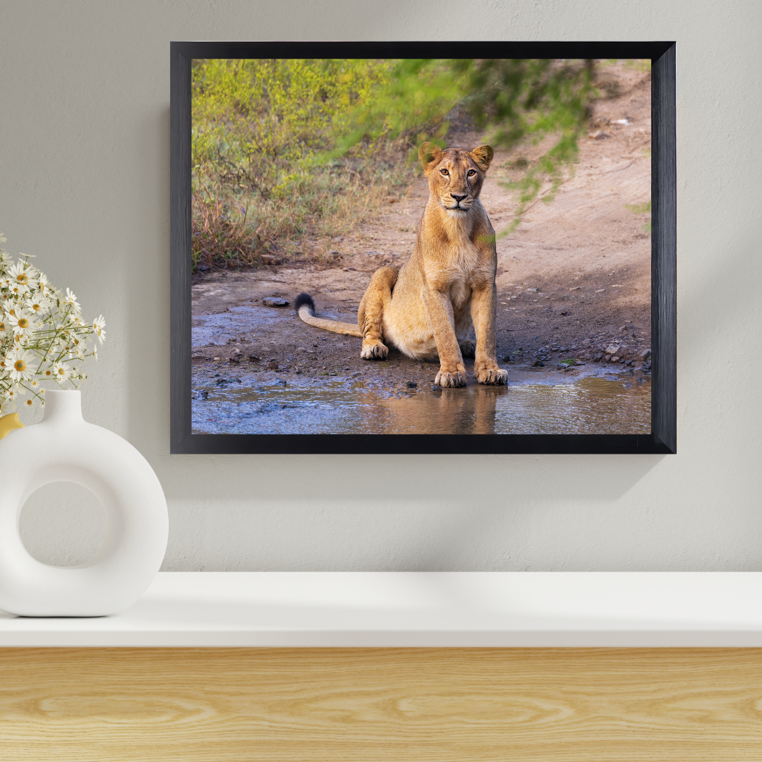 नदी से मिला सबक – जीवन रक्षा का सफर