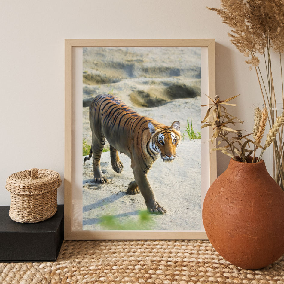 Œuvre d'art de collection en bois naturel représentant un tigre - Scène de jungle avec un tigre émergeant de l'eau