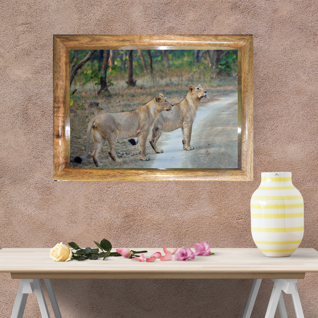 Le Monarque de Corbett - Éléphant en bois avec photographie artistique