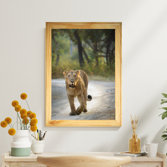 पानी में रॉयल बंगाल टाइगर – प्रीमियम वन्यजीव ललित कला प्रिंट 