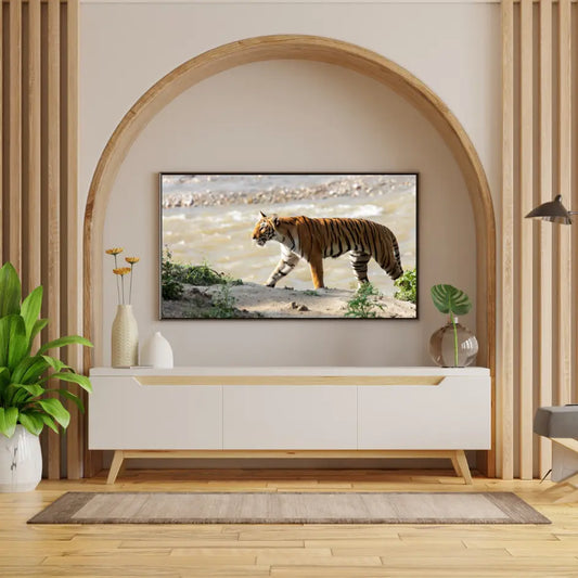 Graceful Tiger Crossing Jungle - Wooden Wildlife Photo Art - Wooden Wildlife Photo Art