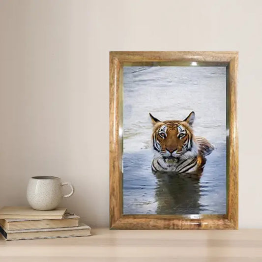 Royal Bengal Tiger in Water – Premium Wildlife Fine Art Print
