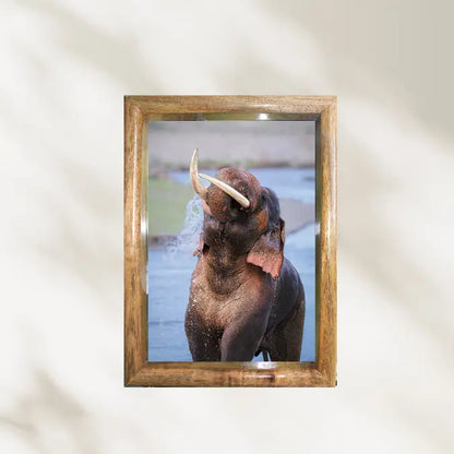 LalKaan – The Ruler of the River – Wildgraphy Fine Art Decor