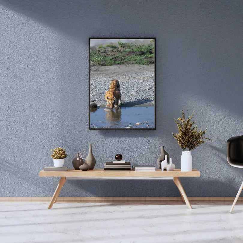 Laissez-moi me reposer – Tigre majestueux s'abreuvant | Tirage photographique animalier d'art | Décoration murale de luxe pour salon ou bureau | Esthétique d'intérieur inspirée par la nature