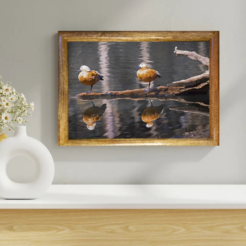 Dreams on Water | wildlife photo art | wildlife artwork for home decor