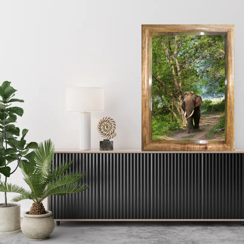 Cadre photo représentant un éléphant marchant dans la canopée de la jungle – Décoration d'art