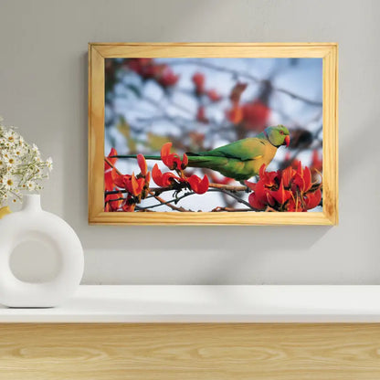 Colors in Harmony – The Parakeet & the Gulmohar