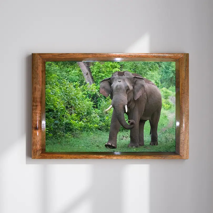 Le Monarque de Corbett - Éléphant en bois avec photographie artistique