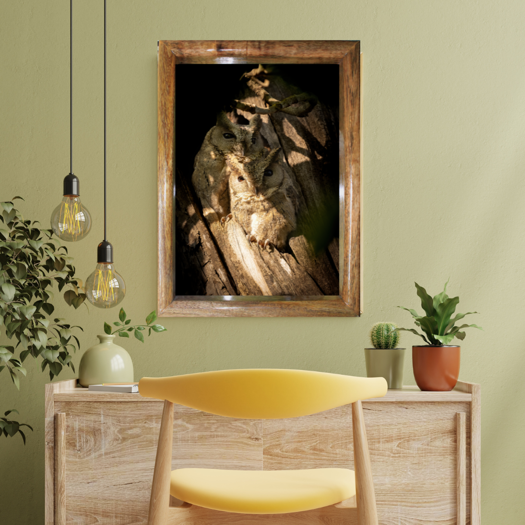 Le regard du fantôme 