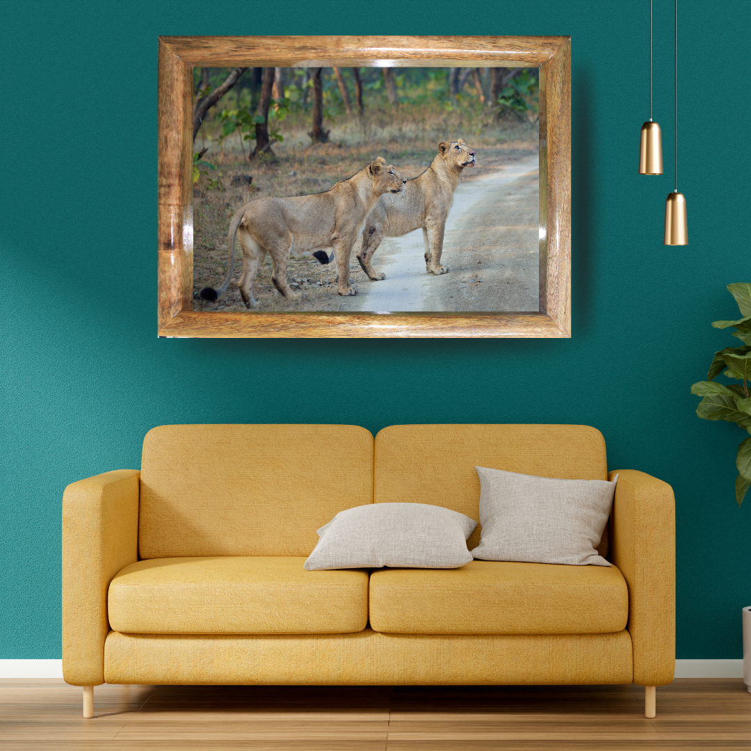 Le Monarque de Corbett - Éléphant en bois avec photographie artistique