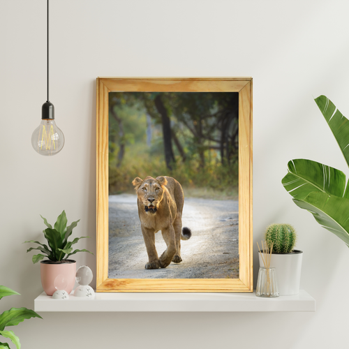 Fearless Lioness Walking – Premium Wildlife Fine Art