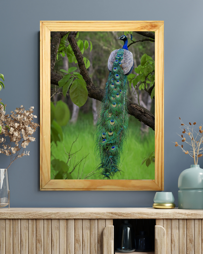 Le regard du fantôme 