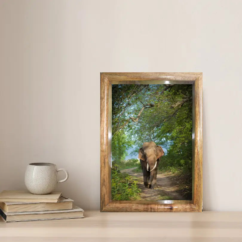 Cadre photo paysage éléphant dans la canopée de la jungle – Décoration d'art