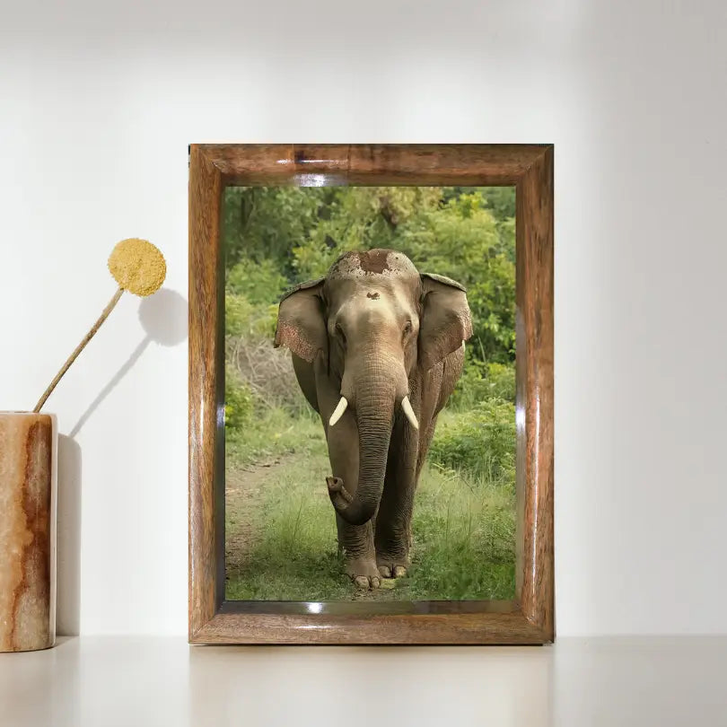 Majesté de la jungle – Face à face avec un éléphant dans la jungle (cadre photo d'art)