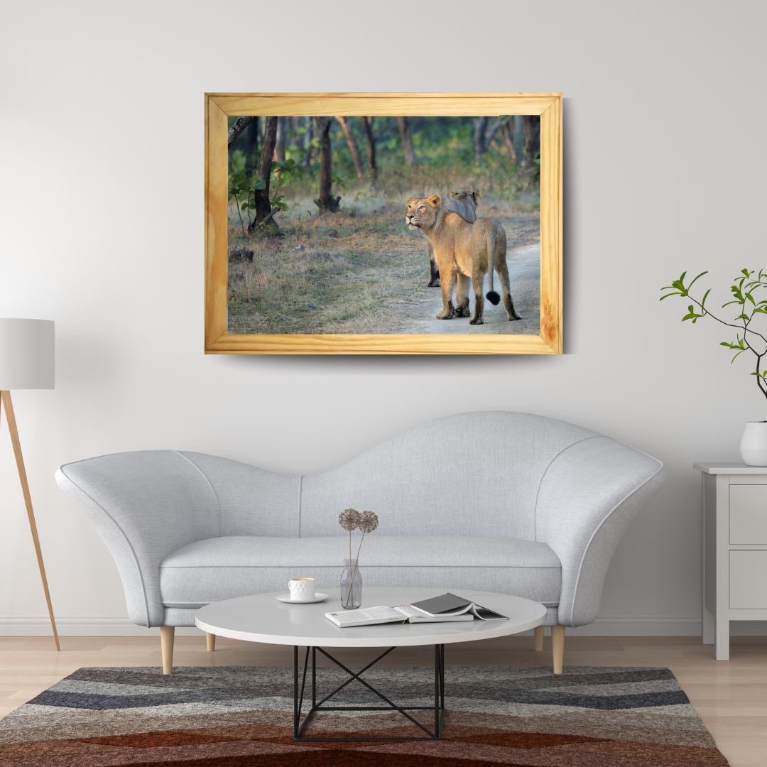 Le Monarque de Corbett - Éléphant en bois avec photographie artistique