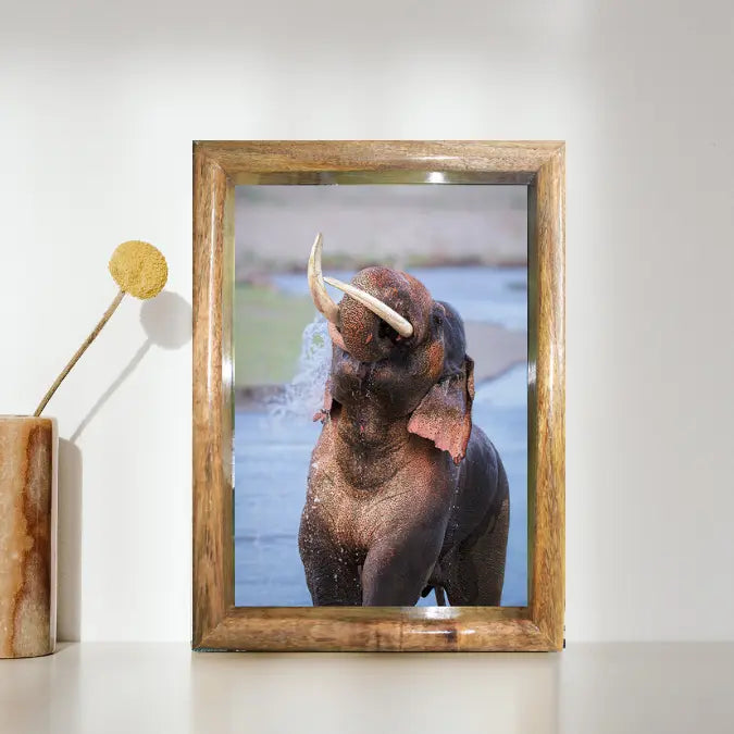 LalKaan – The Ruler of the River – Wildgraphy Fine Art Decor