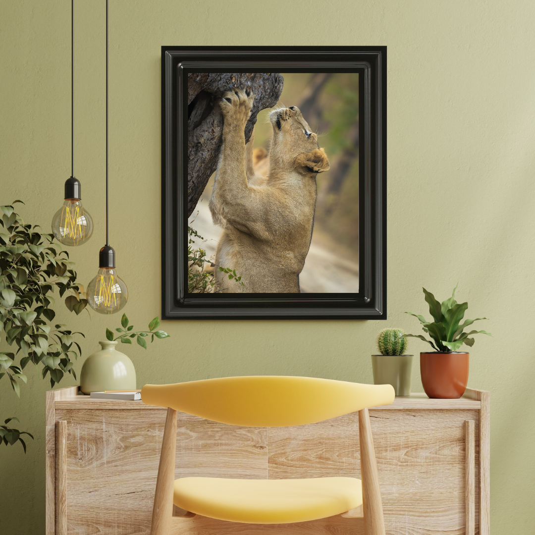 पानी में रॉयल बंगाल टाइगर – प्रीमियम वन्यजीव ललित कला प्रिंट 