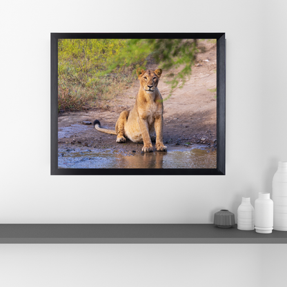 नदी से मिला सबक – जीवन रक्षा का सफर