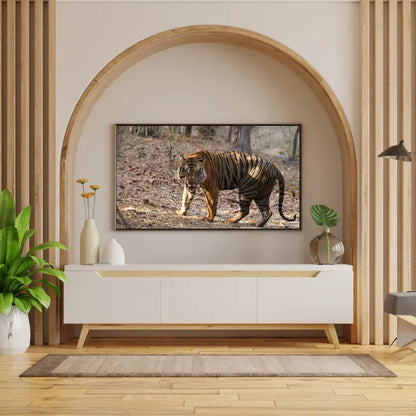 बाघ अपने क्षेत्र की रक्षा कर रहा है