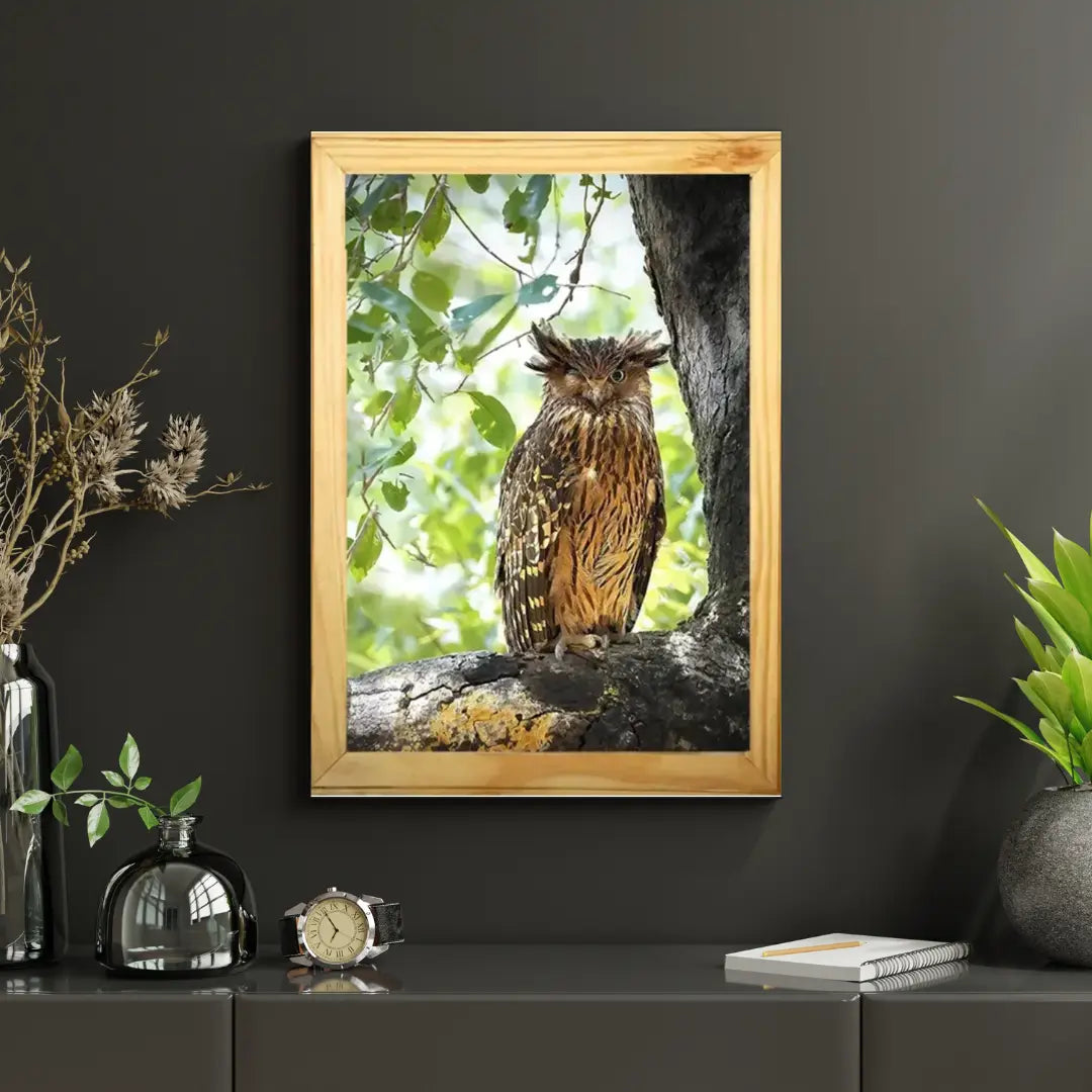 Winking Owl - Kanha National park Framed Owl Bird Photograph - wooden framed Owl bird- Kanha national park Photo, bird picture.